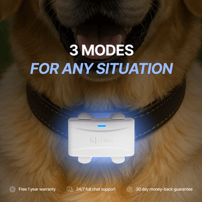 Helio Calm Device