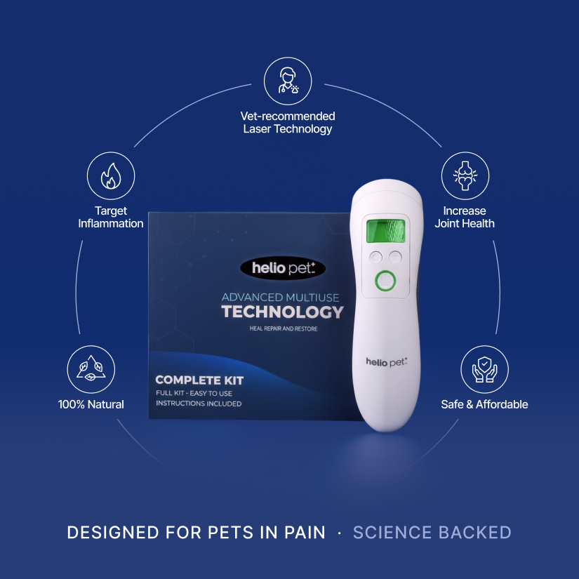 Cold Laser Therapy Device for Pets
