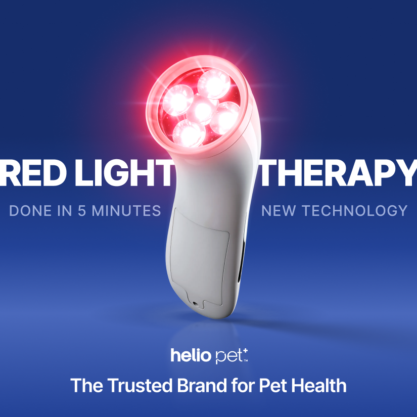 Cold Laser Therapy Device for Pets