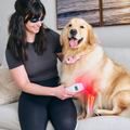 Cold Laser Therapy Device for Pets