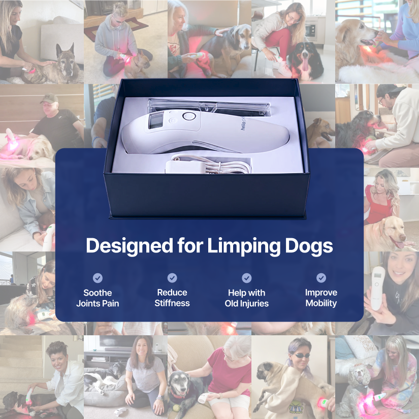 Cold Laser Therapy Device for Pets